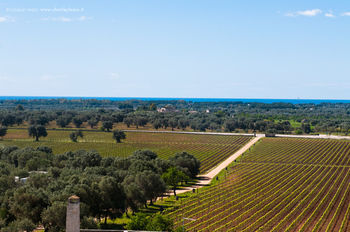 Agroturismo Masseria Le Fabriche