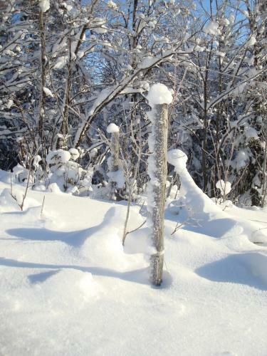 Lodge Messlingen Fj�llby
