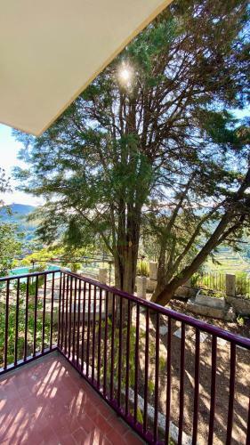 Agroturismo Private Douro- Quinta Das Susandas