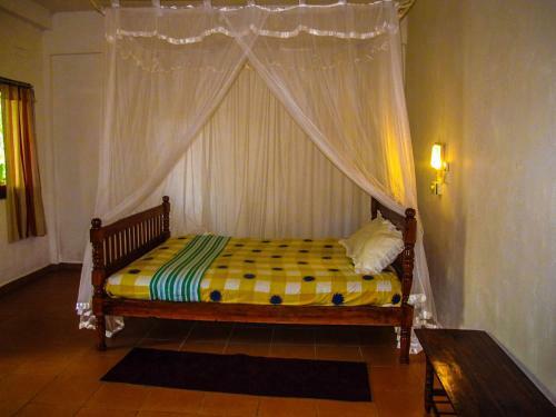 Hostal C-lanka Guest House