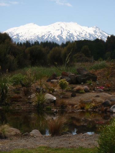 Bed & Breakfast Tongariro Suites