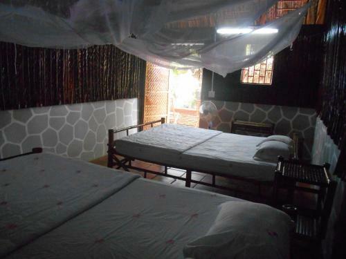 Minh Viet Homestay