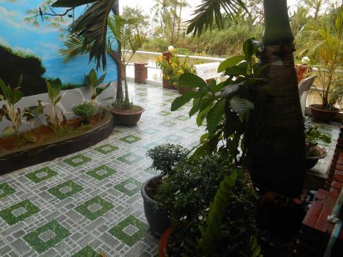 Minh Viet Homestay