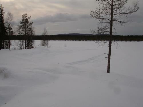 Aamuruskon Ukkola Cottage
