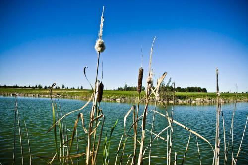 Golf Hotel Lisia Polana
