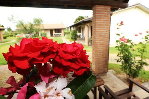 Hostal Agriturismo Gli Etruschi
