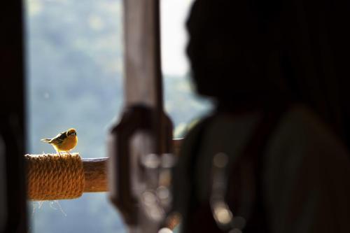 Hotel Exploreans Ngorongoro Lodge - All Inclusive