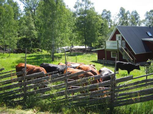 Agroturismo Cottage �laryd