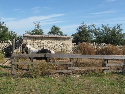 Agroturismo Masseria Copertini