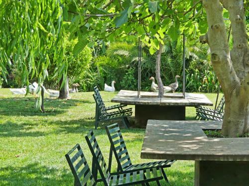 Agroturismo Yeguada Senillosa