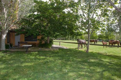 Agroturismo Yeguada Senillosa
