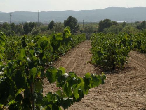Agroturismo Cal Pau Cruset