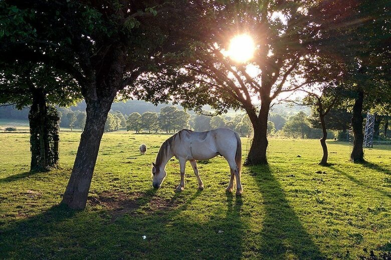 Agroturismo Casa Cazoleiro