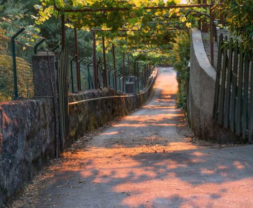 Agroturismo Quinta Das Leiras