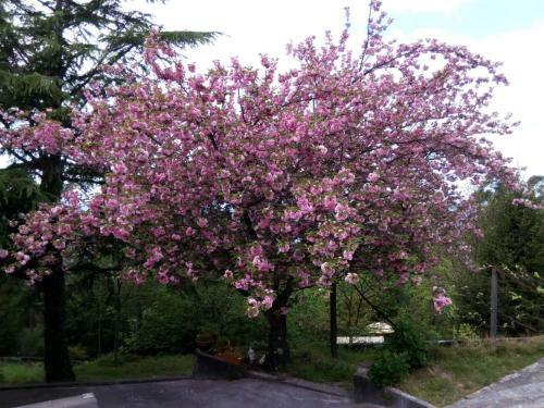 Agroturismo Quinta Das Leiras