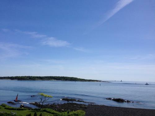 Sea Rose