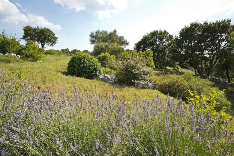 Agroturismo Podere Papilio