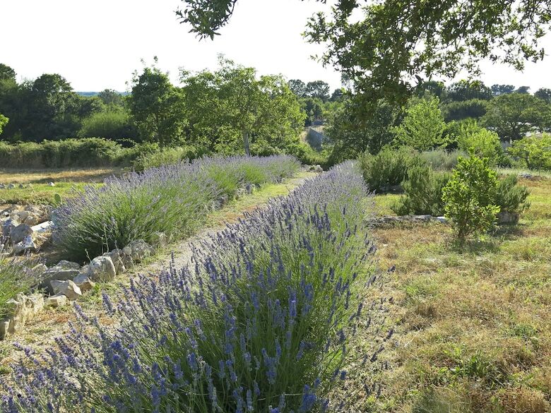 Agroturismo Podere Papilio