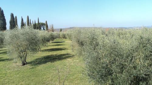 Hostal Villa Brignole