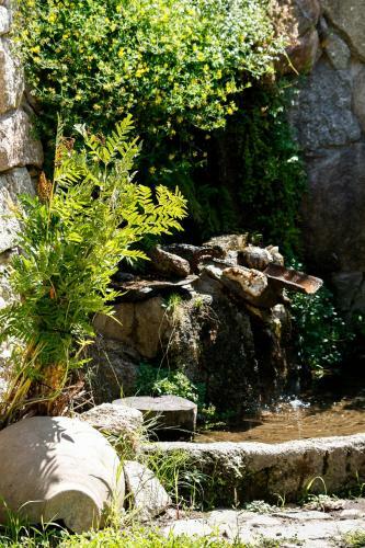 Agroturismo Paraiso De Gredos