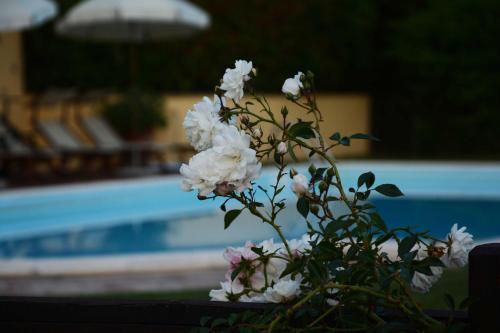 Agroturismo Il Poggiolo