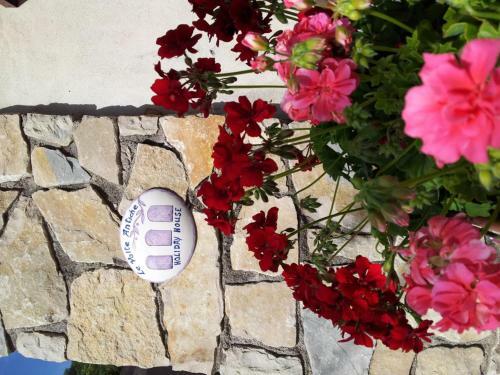 Agroturismo Villa Le Volte Antiche