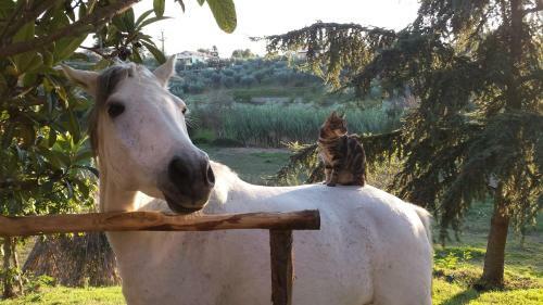 Agroturismo Country House Le Farine