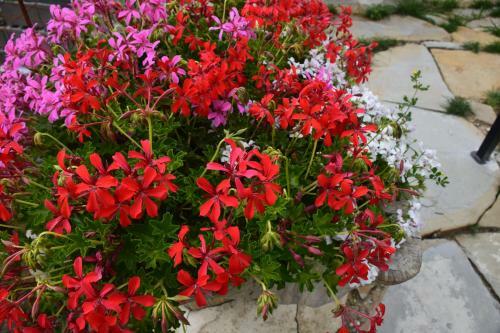 B&B Borgo Casola