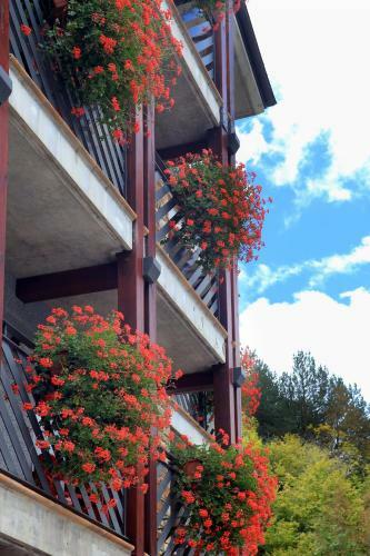 Apartaments Turistics Sant Roma