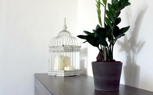 Bed And Breakfast Aratro & Rosmarino
