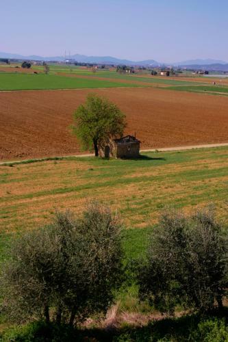 Hostal Antico Borgo Casalappi