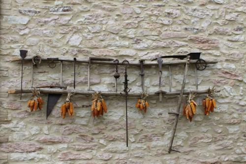 Agroturismo B&B Il Poggetto