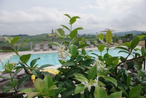 Hotel Naturalmente Wine Resort