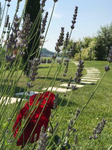 Hotel Naturalmente Wine Resort