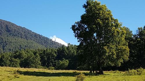 Agroturismo Casa Monta�a Ecologica