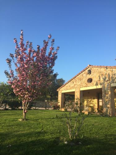 Hostal Agriturismo Podere Micitto