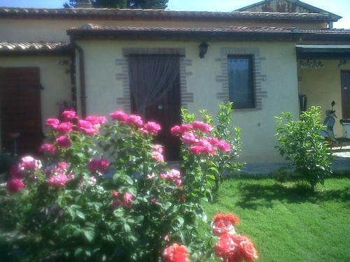 Hostal Agriturismo Podere Micitto