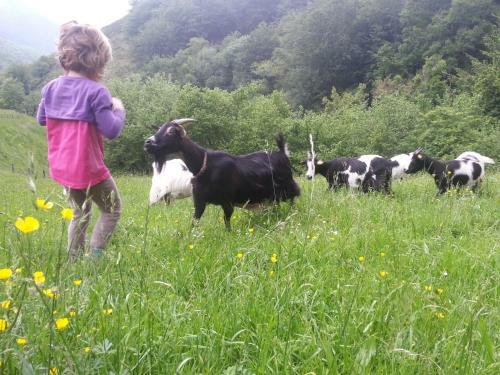 Agroturismo Urruska