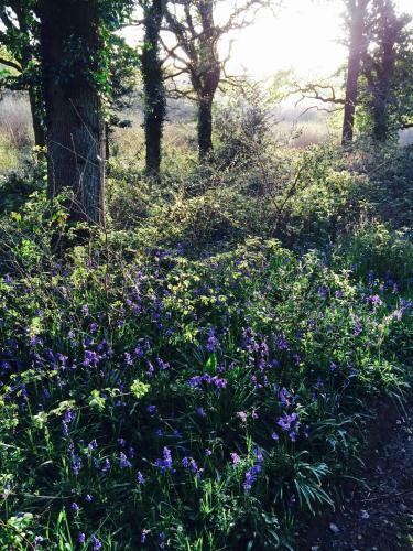Agroturismo Yellowham Farm