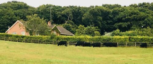 Agroturismo Yellowham Farm