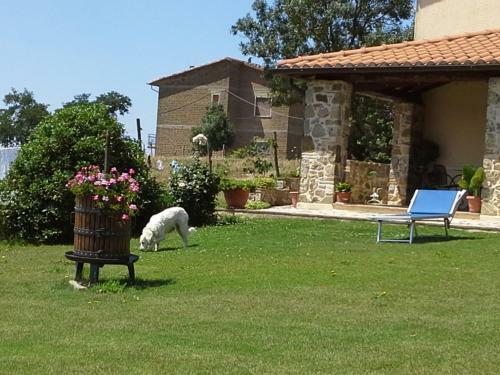 Agroturismo Poggio Mario