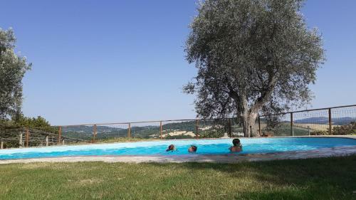 Agroturismo Poggio Mario