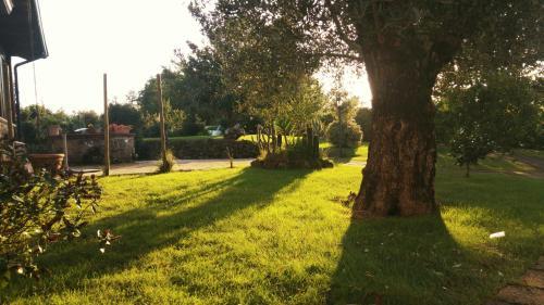 Agroturismo Borgo Patierno