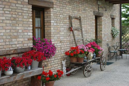 Agroturismo Agriturismo Albafiorita