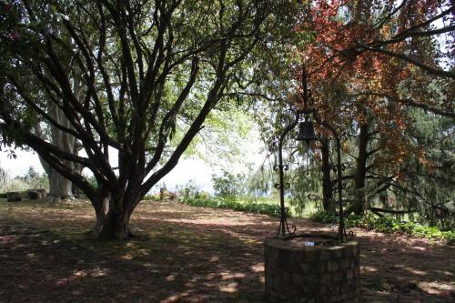 Agroturismo Quinta Das Faias