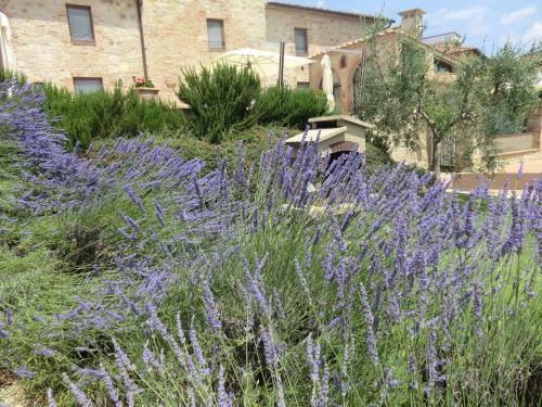 Agroturismo La Pieve Di San Martino