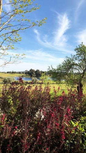 Agroturismo Quinta Da Alma Cheia