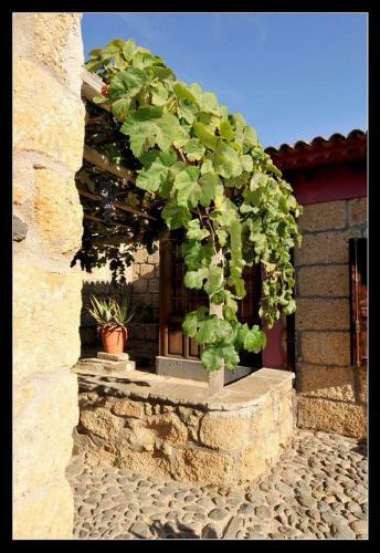 Agroturismo Casa Rural La Venta
