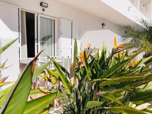 Hotel Kiko Park Oliva