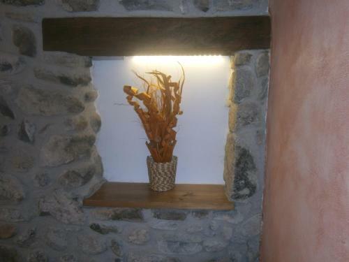 Agroturismo Casa Rural Cal Xico